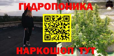 2c-b Кандалакша
