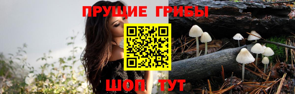 Галлюциногенные грибы прущие грибы Кулебаки